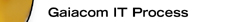 IT Process